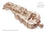 Ugears Wooden Model - Hurdy Gurdy