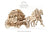 Ugears Wooden Model - Stagecoach