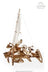 Ugears Wooden Model - Trimaran Merihobus Yacht