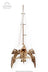 Ugears Wooden Model - Trimaran Merihobus Yacht