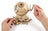 Ugears Wooden Model - Globus