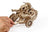 Ugears Wooden Model - Scrambler UGR-10