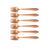 Splayd Black Label Stainless Steel Satin Set of 6