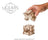 Ugears Wooden Model - Dice Tower