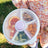 GoBe - Large Snack Spinner Purple