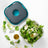 Trudeau Fuel Salad On The Go Container - Tropical Blue