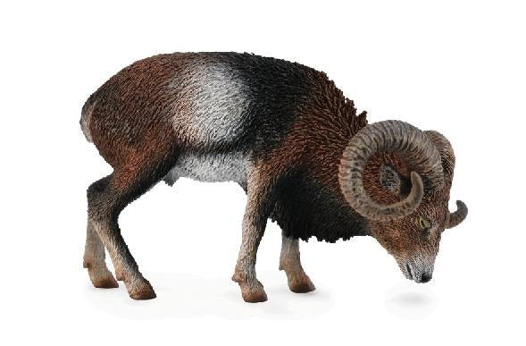 CollectA Wild Life - European Mouflon
