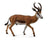 CollectA Wild Life - Springbok
