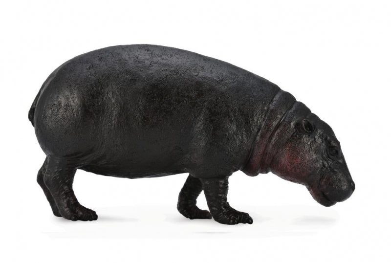 CollectA Wild Life - Pygmy Hippopotamus