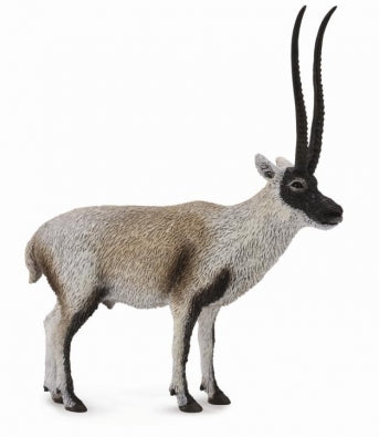 CollectA Wild Life - Chiru