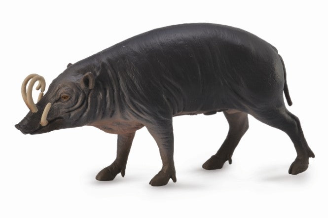 CollectA Wild Life - Babirusa