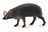 CollectA Wild Life - Babirusa