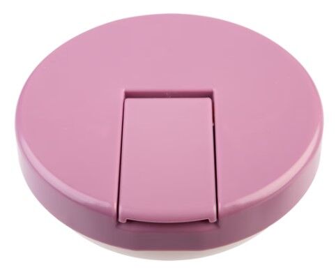 Oasis Double Wall Insulated Quick Release Lid Food Flask - 230ml Blush