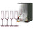 Tempa Esme - Blush Champagne Glass 4 Pack