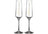 Tempa Celebration - Cheers Champagne Glass 2 Pack