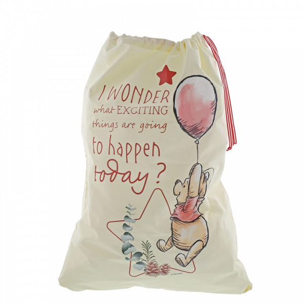 Disney Enchanting Sack - Winnie The Pooh