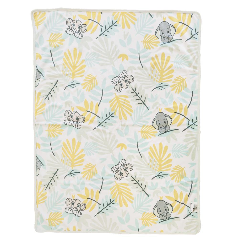 Disney Enchanting Baby - ABC Blanket