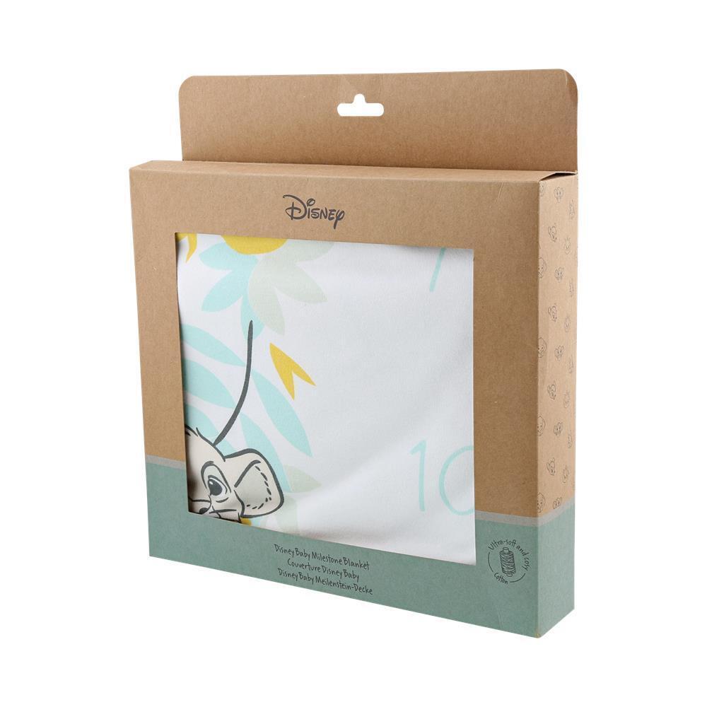 Disney Enchanting Baby - Milestone Blanket