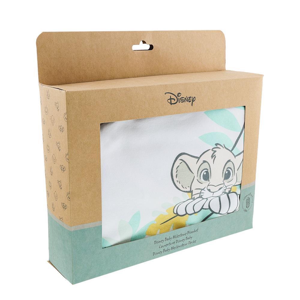 Disney Enchanting Baby - Milestone Blanket
