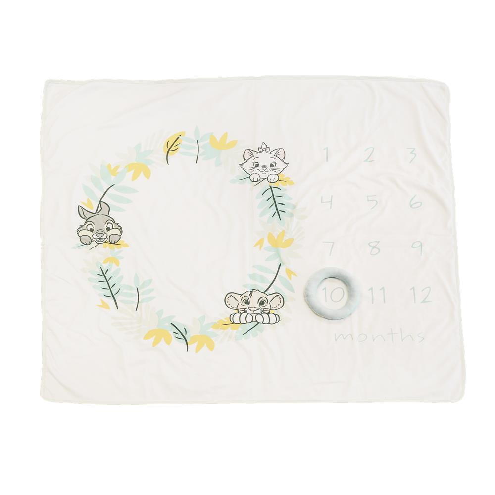 Disney Enchanting Baby - Milestone Blanket
