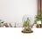Disney Enchanting Dome - Bambi - Woodland Wonder