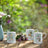 Beatrix Potter Peter Rabbit English Garden Collection - Benjamin Bunny Mug