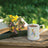 Beatrix Potter Peter Rabbit English Garden Collection - Peter Rabbit with Radish Mug