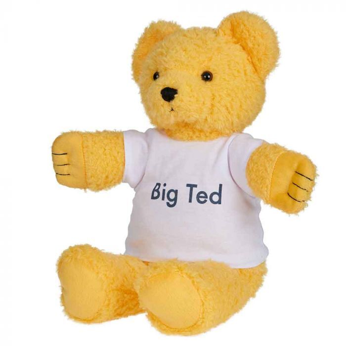 ABC Play School Plush - Big Ted 40cm