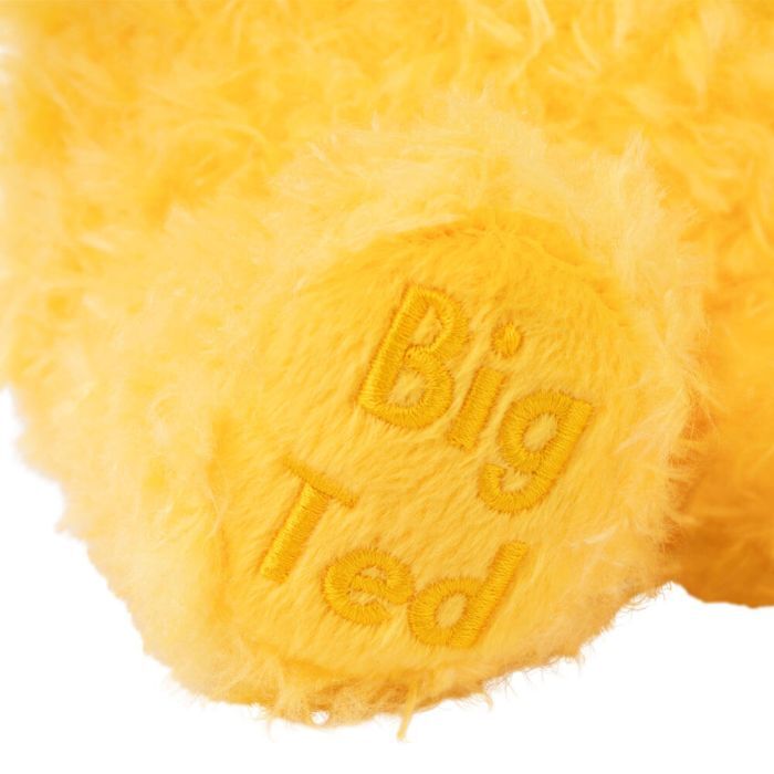 Play School - Big Ted Plush 23cm