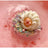 Bomb Cosmetics Bath Blaster - Sweet Like You