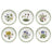 Portmeirion Botanic Garden Side Plates - Assorted (Set of 6)