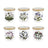 Portmeirion Botanic Garden - Spice Jar - (Set of 6) Mixed Motifs