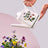 Portmeirion Botanic Garden - Watering Can - 1.7L Fuchsia