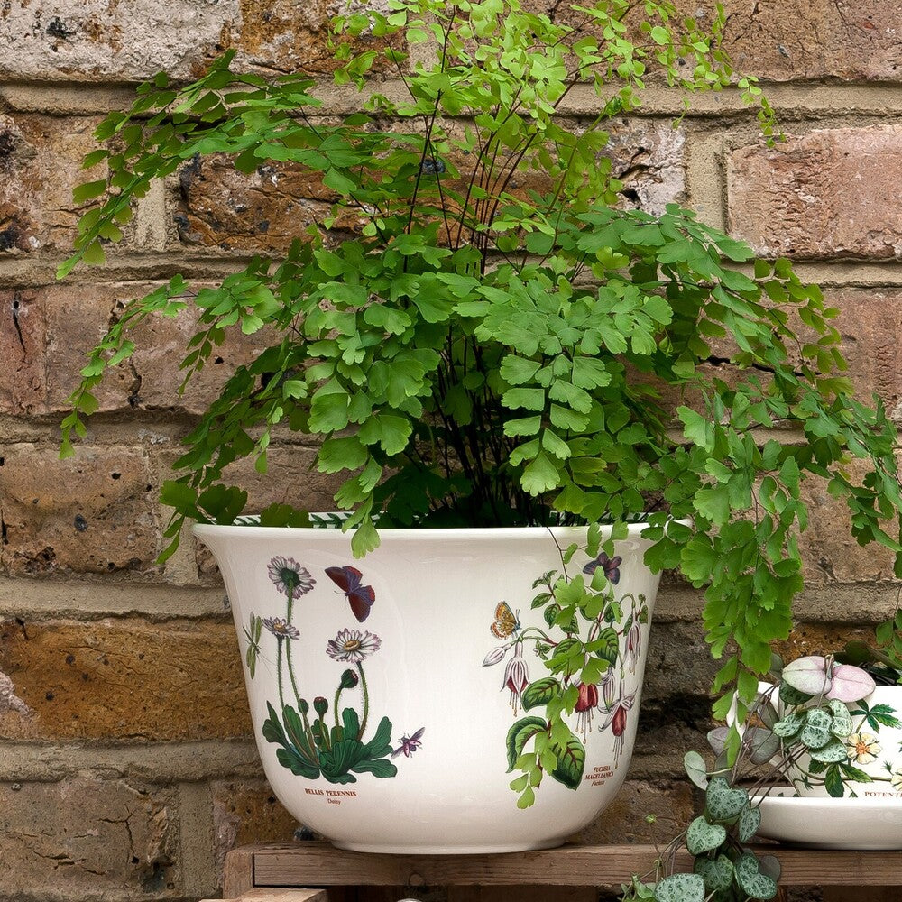 Portmeirion Botanic Garden - Flower Pot - 22cm Mixed Motifs