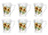 Portmeirion Botanic Garden Mug - Sunflower (Set of 6)