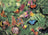 Blue Opal Puzzle - Wild Australia - Butterflies & Beetles 100pc