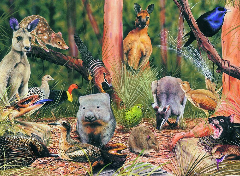 Blue Opal Puzzle - Wild Australia - On the Forest Floor 200pc