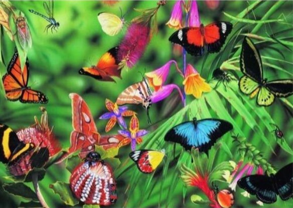 Blue Opal Puzzle - Garry Fleming Butterflies & Beetles 1000pc