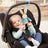 Beatrix Potter Peter Rabbit Jiggler - Peter Rabbit