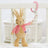 Beatrix Potter Peter Rabbit Jiggler - Flopsy