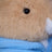 Beatrix Potter Peter Rabbit Classic Plush - Peter Rabbit 25cm