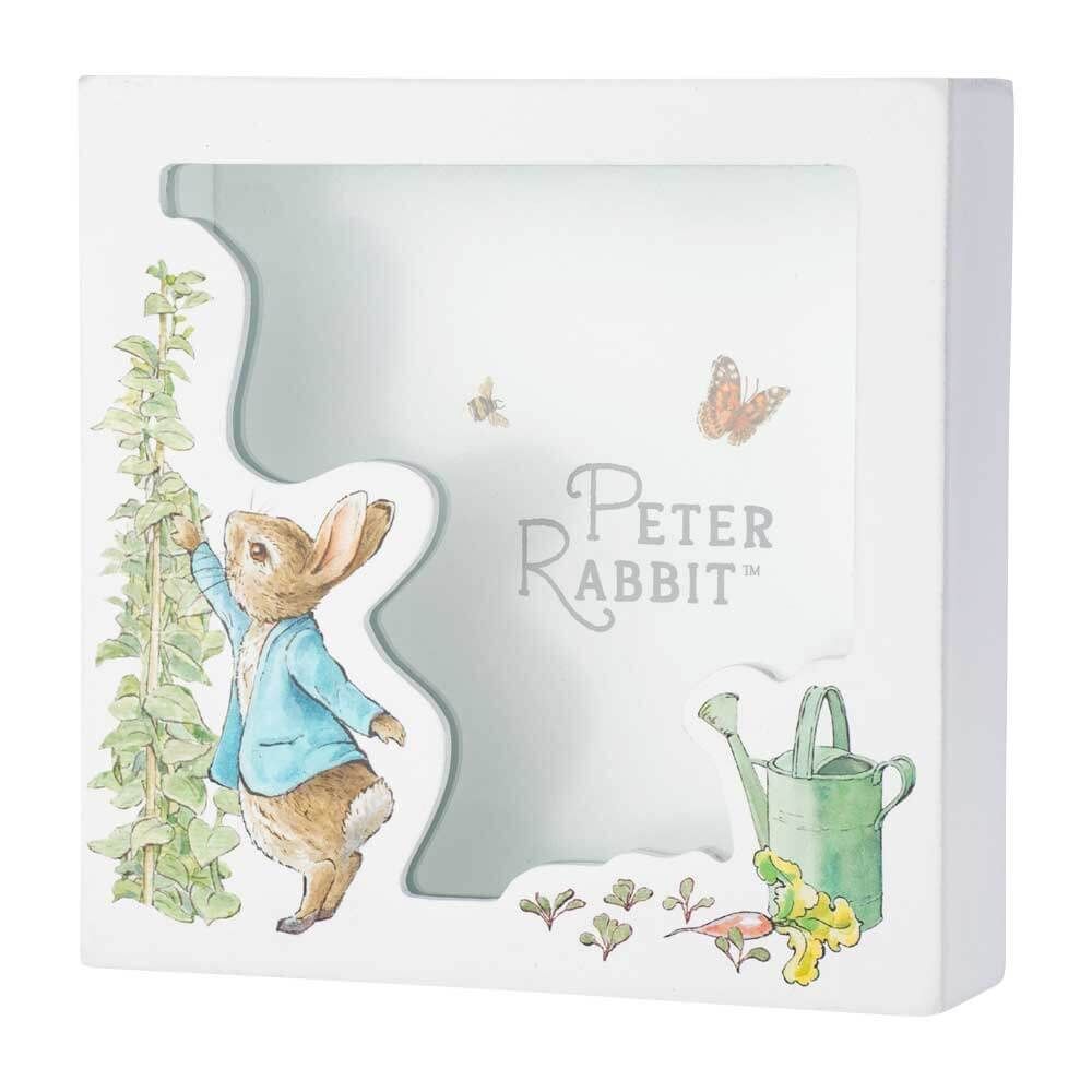 Beatrix Potter Peter Rabbit Money Bank