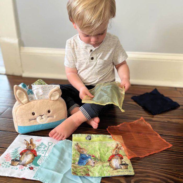 Beatrix Potter Peter Rabbit Tissue Box Play Set