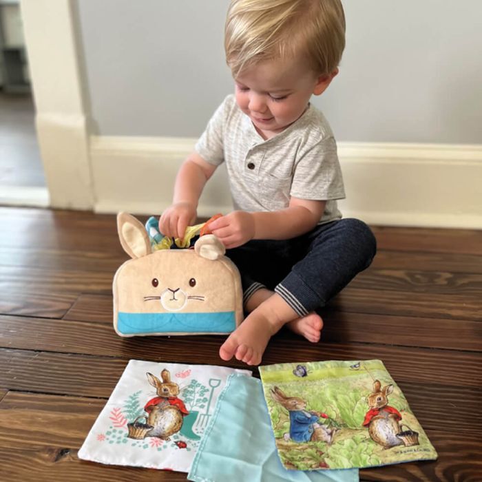 Beatrix Potter Peter Rabbit Tissue Box Play Set
