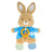 Beatrix Potter Peter Rabbit Sensory Blanket with Crinkle