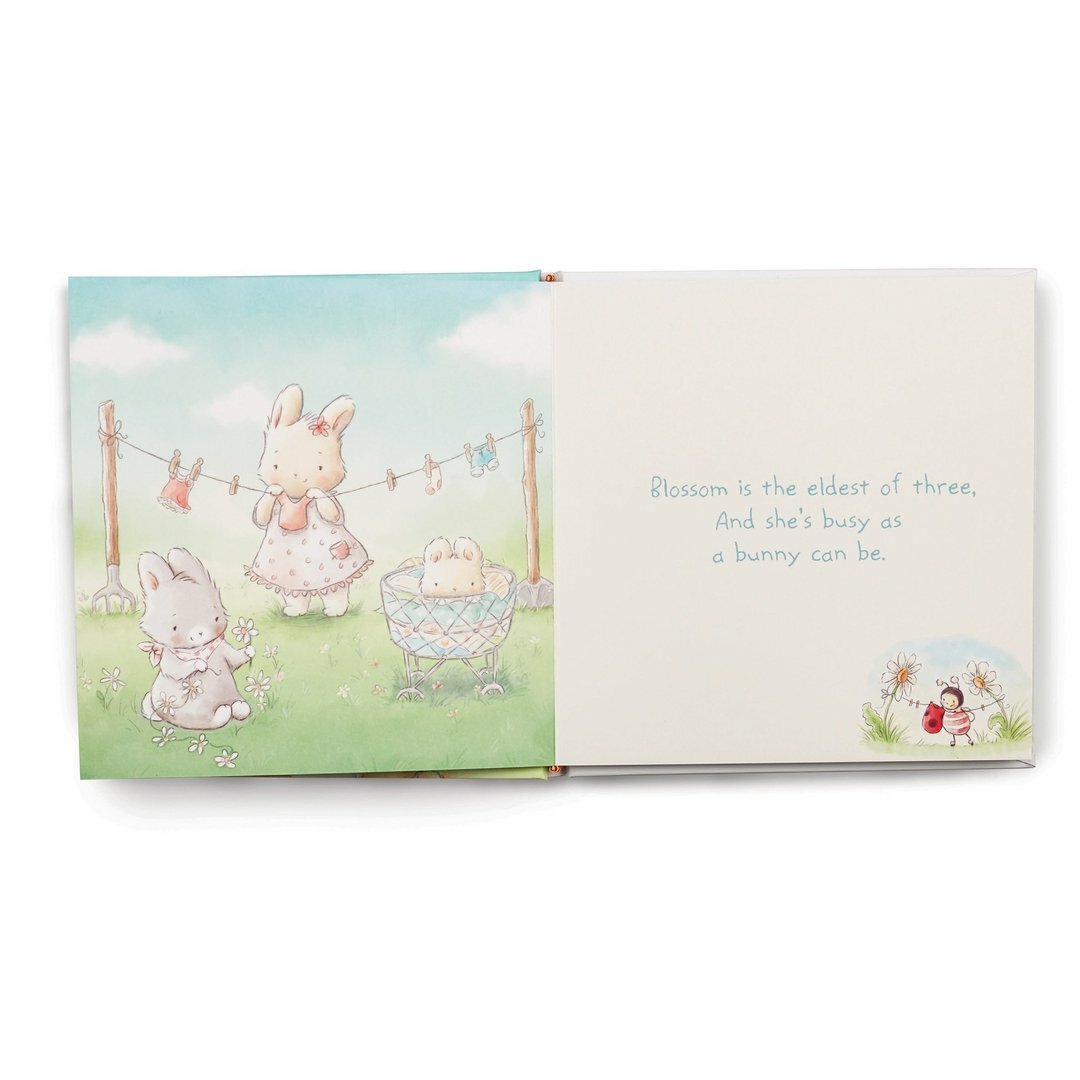 Bunnies By The Bay Board Book - Friendship Blossoms