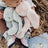 Bunnies By The Bay Bunny - Sweet Nibble Pink - Large