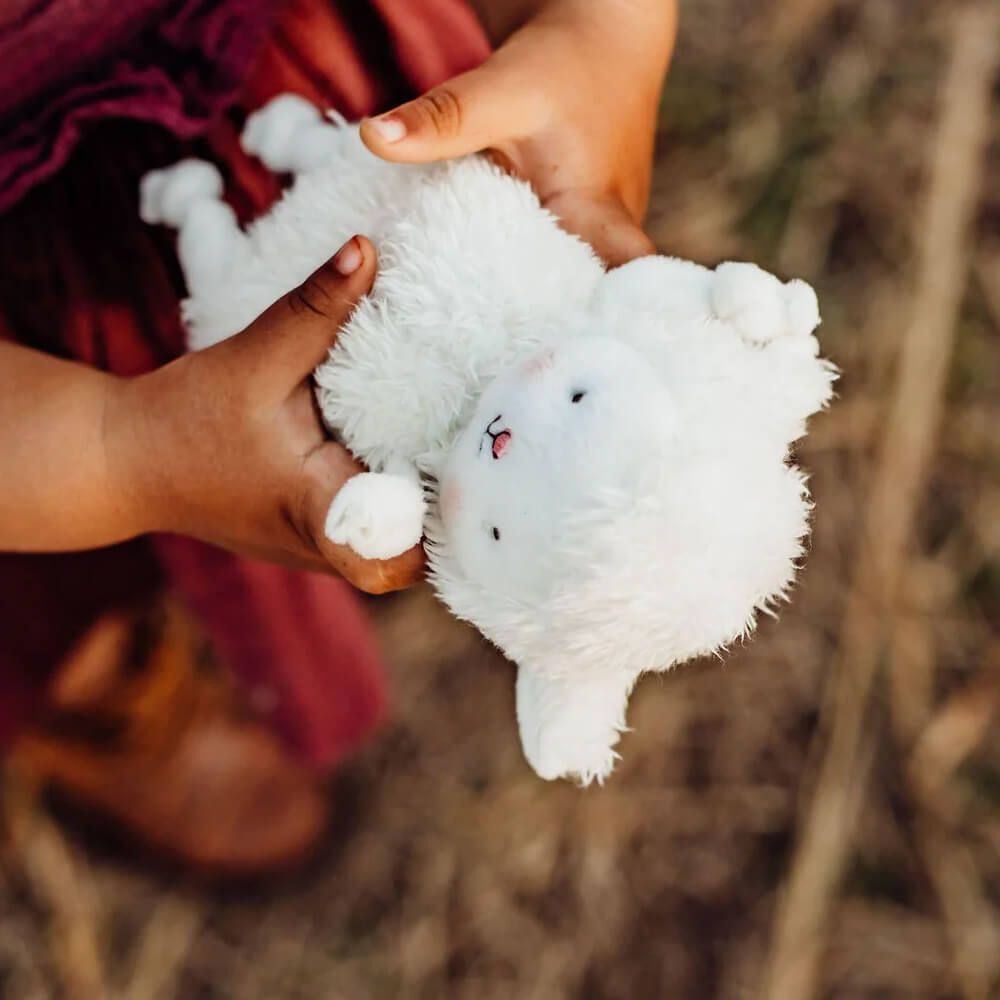 Bunnies By The Bay Lamb - Roly Poly Kiddo