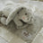 Bunnies By The Bay Bunny - Little Naptime Nibble Bloom