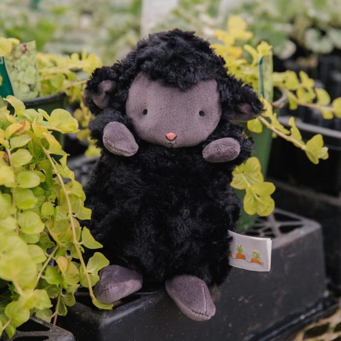 Bunnies By The Bay Wee Kiddo - The Lamb - Black